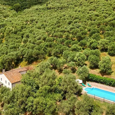 Limone Villa *